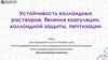 Устойчивость коллоидных растворов. Явления коагуляции, коллоидной защиты, пептизации  (лекция 9)