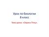 Охрана птиц. Урок по биологии. 8 класс
