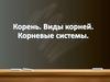 Корень. Виды корней. Корневые системы