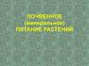 Почвенное (минеральное) питание растений