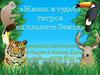 Жизнь и судьба тигров на планете Земля