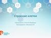 Строение клетки