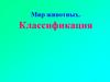 Мир животных. Классификация
