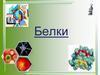 Белки