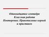 Правописание корней и приставок