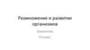 Размножение и развитие организмов. 9 класс