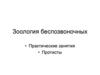 Зоология беспозвоночных