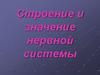 Строение и значение нервной системы