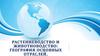 Растениеводство и животноводство: география основных отраслей