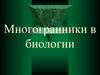 Многогранники в биологии