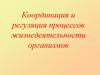 Координация и регуляция процессов жизнедеятельности организмов
