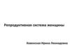 Репродуктивная система женщины