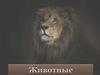 Фауна, животные   (урок 14)