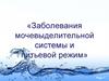Заболевания мочевыделительной системы и питьевой режим