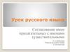 Согласование имен прилагательных с именами существительными. Урок русского языка