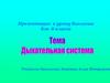 Дыхательная система