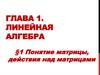 Понятие матрицы, действия над матрицами. Линейная алгебра. Глава 1
