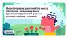 Многообразие растений по месту обитания, внешнему виду. Сравнение растений разных климатических условий. 2 класс
