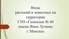 Виды растений и животных на территории школы