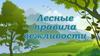 Лесные правила вежливости