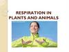 Respiration in plants and animals