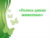 Голоса диких животных