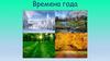 Времена года