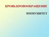 Кровь. Кровообращение. Иммунитет