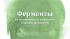 Ферменты. Белковая природа ферментов