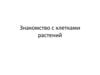 Знакомство с клетками растений