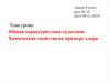 Общая характеристика галогенов. Химические свойства на примере хлора  (9 класс)