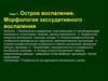 Острое воспаление. Морфология экссудативного воспаления