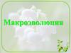 Макроэволюция. Учение о главных направлениях и путях эволюции