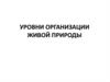 Уровни организации живой природы