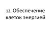 Обеспечение клеток энергией. Тема 12