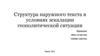 Структура наружного текста в условиях эскалации геополитической ситуации