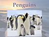 Penguins