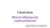 Генетика. Моногибридное скрещивание