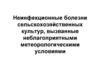 Неинфекционные болезни сельскохозяйственных культур, вызванные неблагоприятными метеорологическими условиями