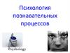 Психология познавательных процессов  (лекция 3)