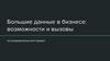 Большие данные в бизнесе. Возможности и вызовы