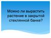 Проект "Можно ли вырастить растение в закрытой стеклянной банке?"