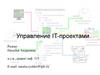 Управление IT-проектами. Тема 1. Введение. Основные понятия и определения. Тема 2. Информационная система