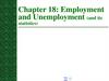 Chapter 18: Employment and Unemployment (and its statistics)