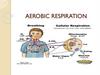 Aerobic respiration