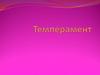 Темперамент