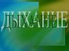 Дыхание