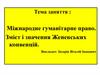 Міжнародне гуманітарне право. Зміст і значення Женевських конвенцій. Лекція 10-11
