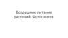 Воздушное питание растений. Фотосинтез