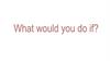 What would you doif?